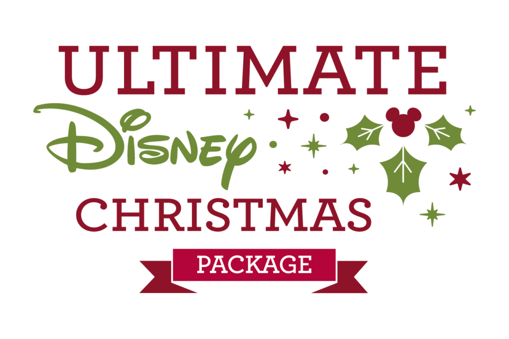 Disney Christmas Package
